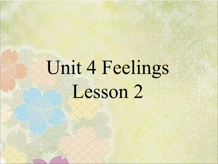 六年级英语上册  Unit4 Feelingsl    Lesson2 课件2