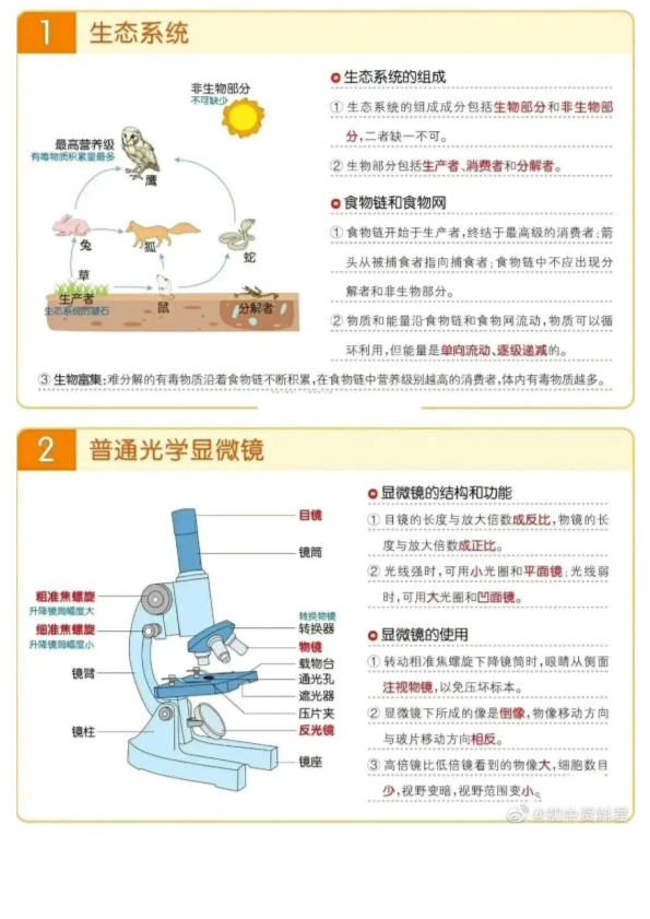 【初中生物】必考知识点合集（精简版），高分必背！