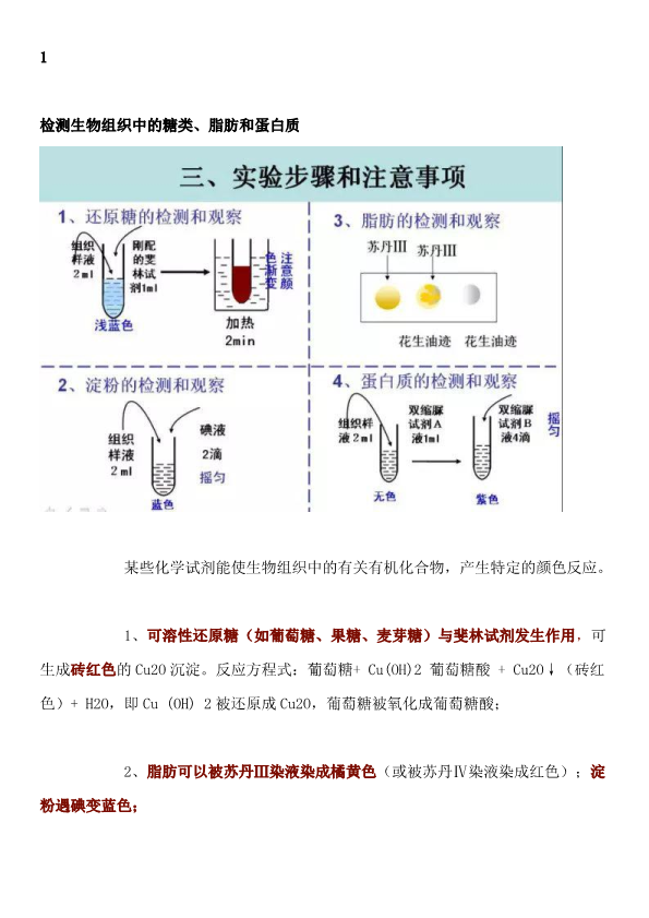 【初中生物】16个实验原理大解析，全是必考点，学霸早就人手一份