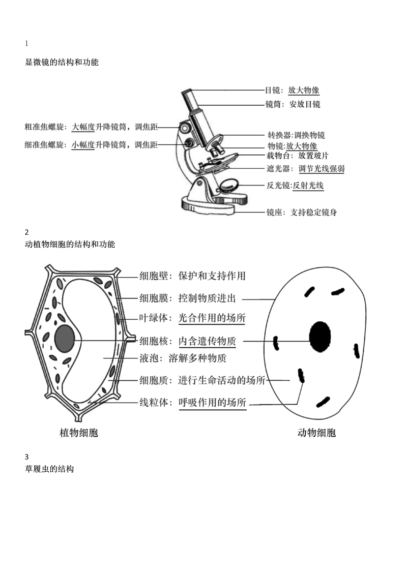 【初中生物】识图题常用结构示意图汇总