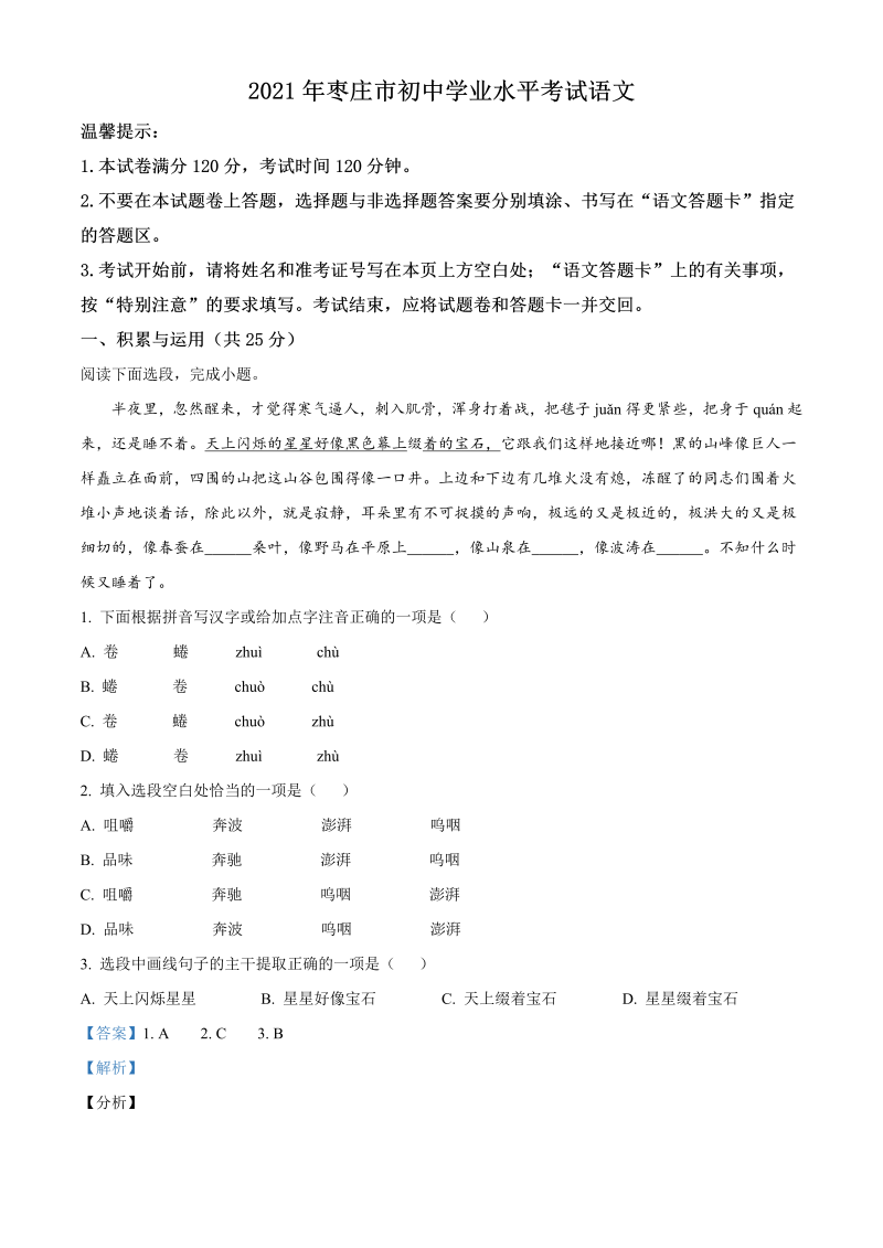 语文中考真题 精品解析：山东省枣庄市2021年中考语文试题（解析版）