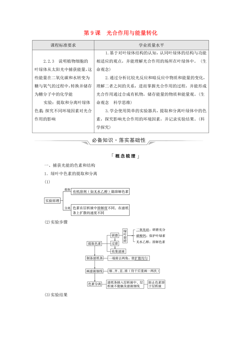 2022版新教材高考生物一轮复习第3单元细胞的能量供应和利用第9课光合作用与能量转化学案新人教版