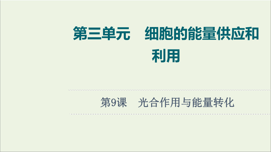 2022版新教材高考生物一轮复习第3单元细胞的能量供应和利用第9课光合作用与能量转化课件新人教版