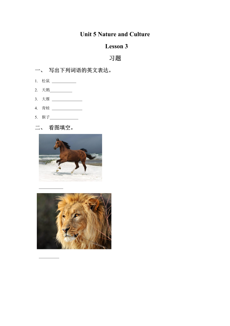 六年级英语下册 Unit5 Nature and Culture    Lesson 3 习题