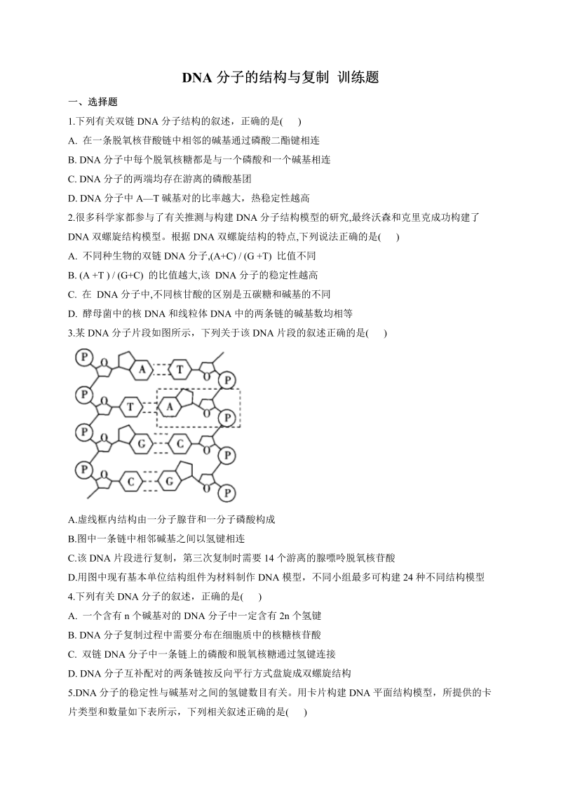 DNA分子的结构与复制 训练题--2023届高考生物一轮复习（有解析）