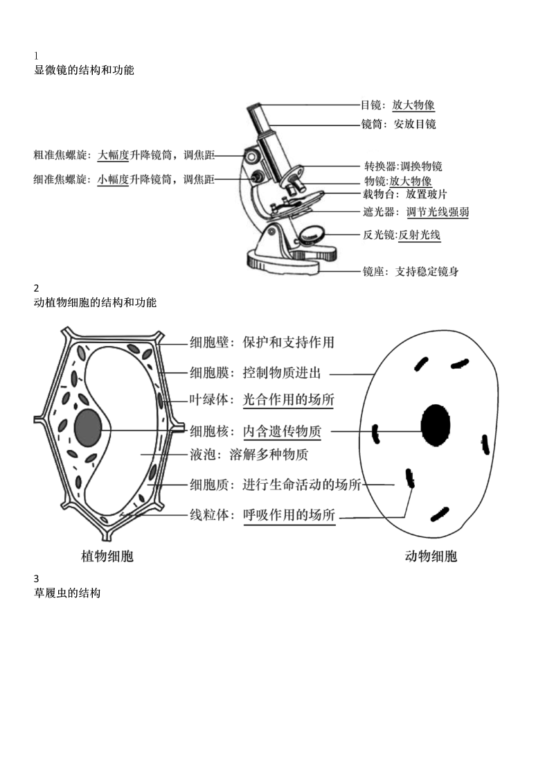 中考生物  识图题常用结构示意图汇总