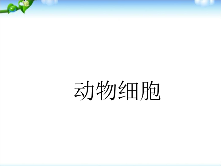 七年级生物上册2.1.3动物细胞生物公开课