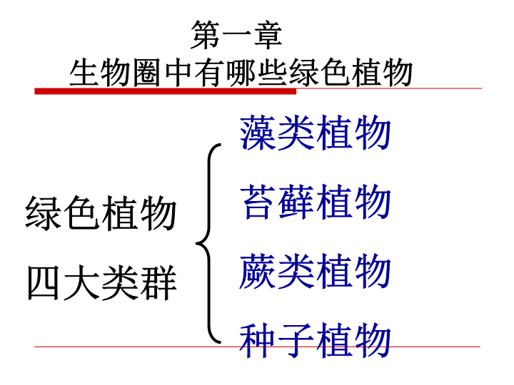 七年级生物上册3.1.1藻类苔藓和蕨类植物PPT教学自制课件(生物)