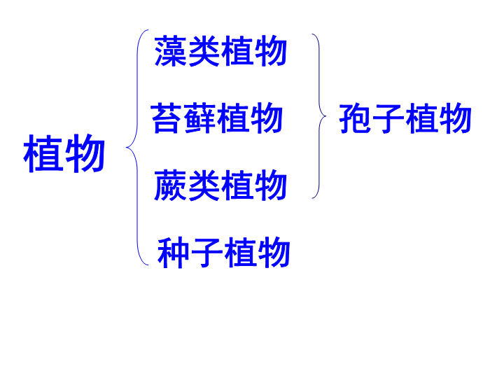 七年级生物上册3.1.2种子植物教研课