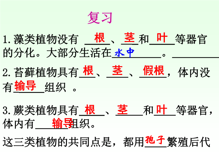 七年级生物上册3.1.2种子植物上课下载