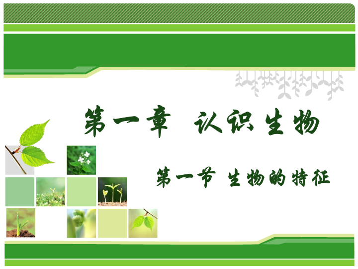 七年级生物上册1.1生物的特征优质课ppt课件下载