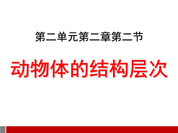 七年级生物上册2.2.2动物体的结构层次生物公开课