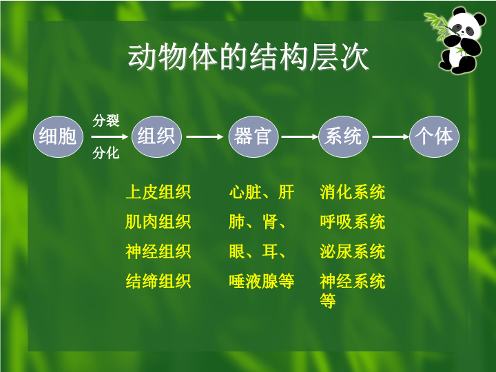 七年级生物上册2.2.4单细胞生物精品