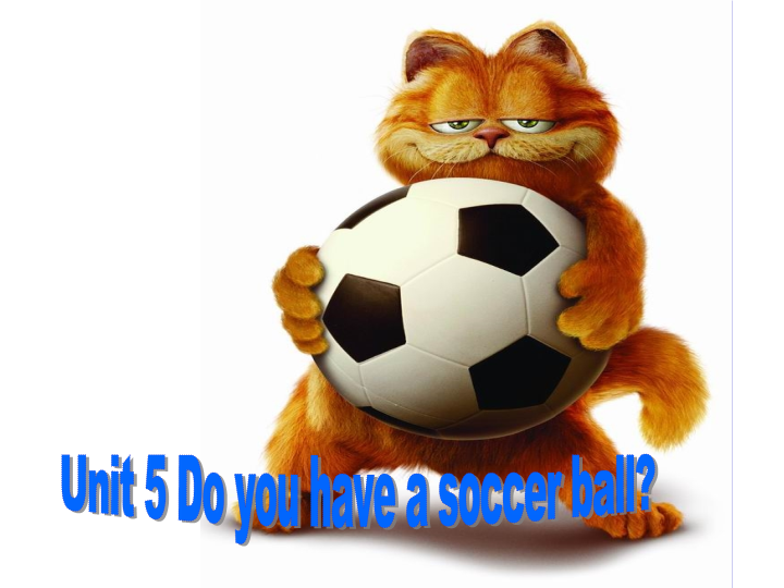 七年级英语上册Unit5 Do you have a soccer bal1英语公开课