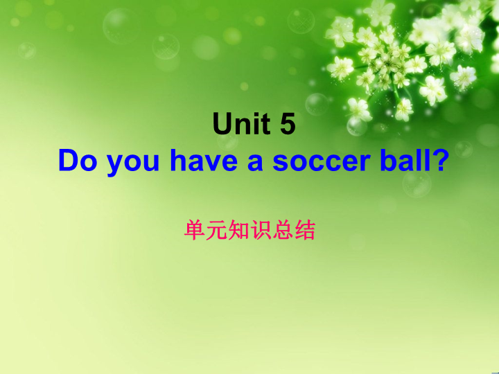 七年级英语上册Unit5 Do you have a soccer ball重难点及语法