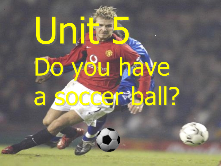 七年级英语上册公开课ppt Unit5 Do you have a soccer ball复习课课件