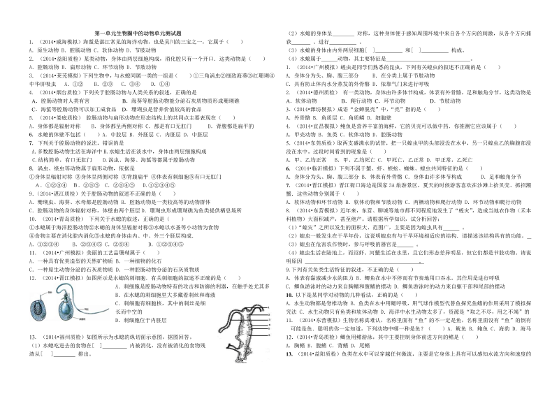 八年级生物上册《第一章：动物的主要类群》单元测试题