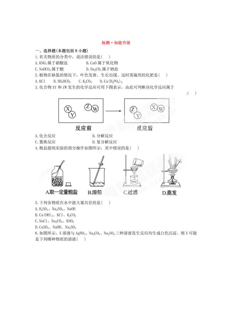 九年级化学下册人教版第11单元 盐、化肥 检测•知能升级