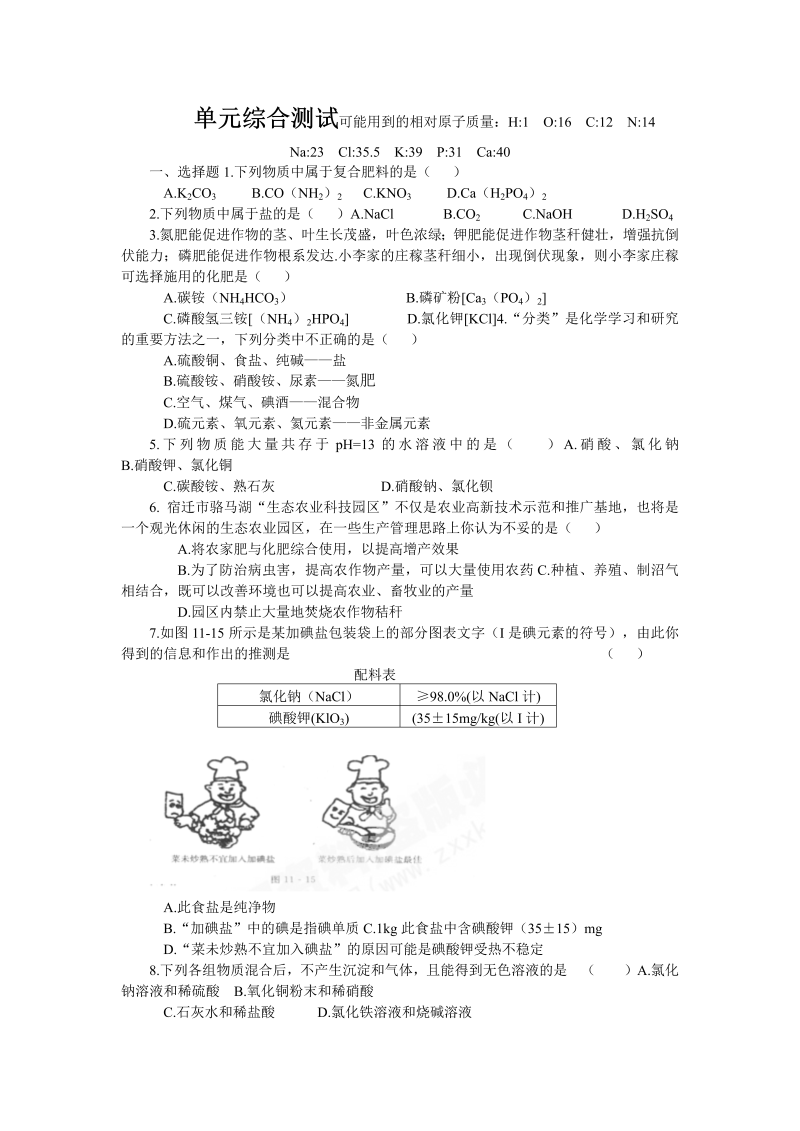 九年级化学下册人教版第11单元 盐、化肥