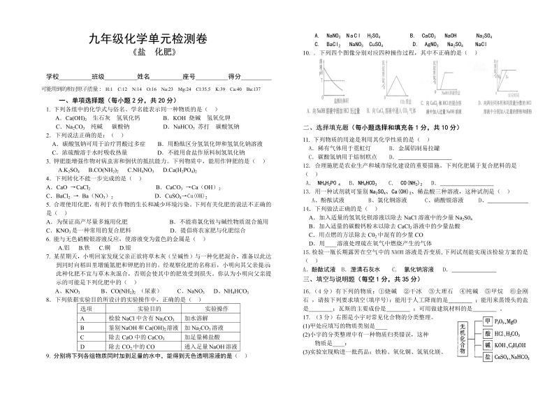 九年级化学下册人教版第11单元《盐 化肥》单元检测卷及答案 (2)