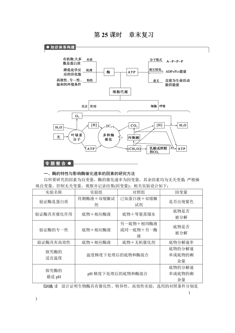 高中生物人教版必修1：第五章 细胞的能量供应和利用 章末复习 word版含解析