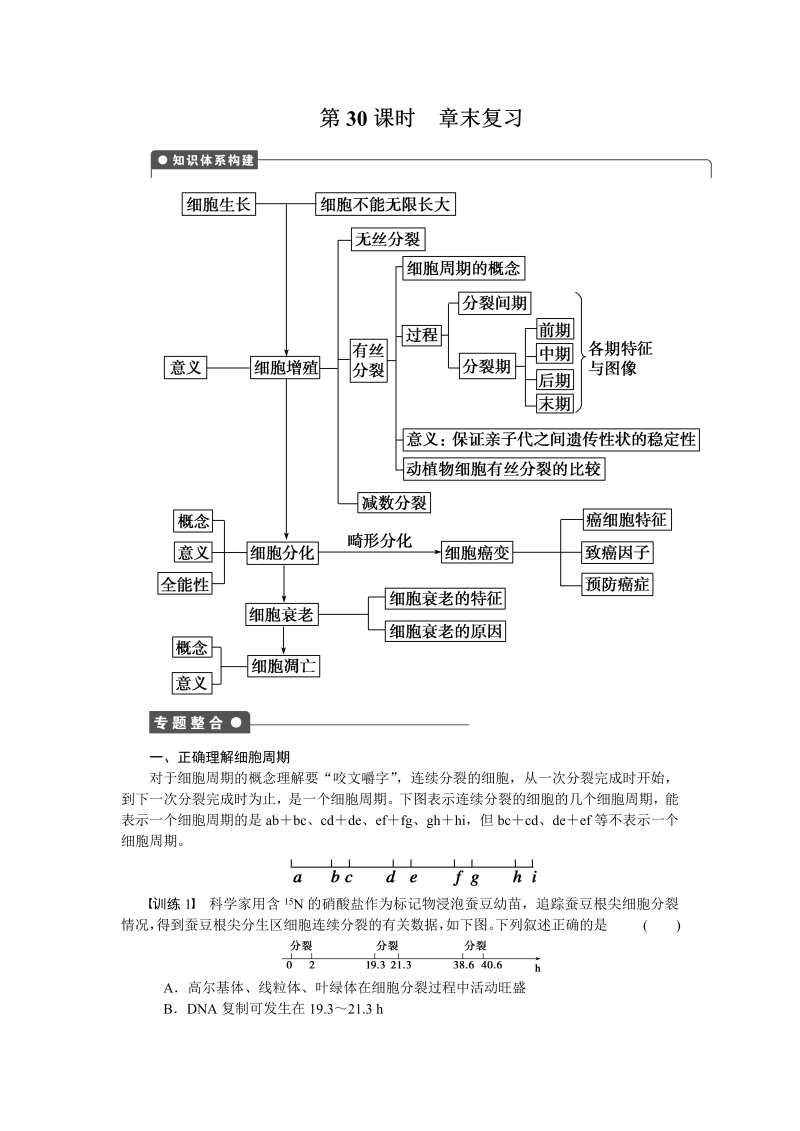 高中生物人教版必修1：第六章 细胞的生命历程 章末复习 word版含解析