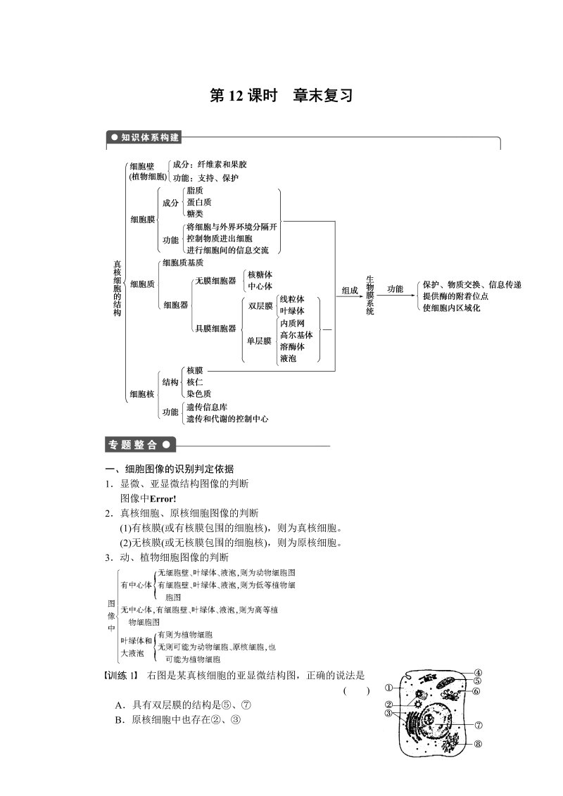 高中生物人教版必修1：第三章 细胞的基本结构 章末复习 word版含解析