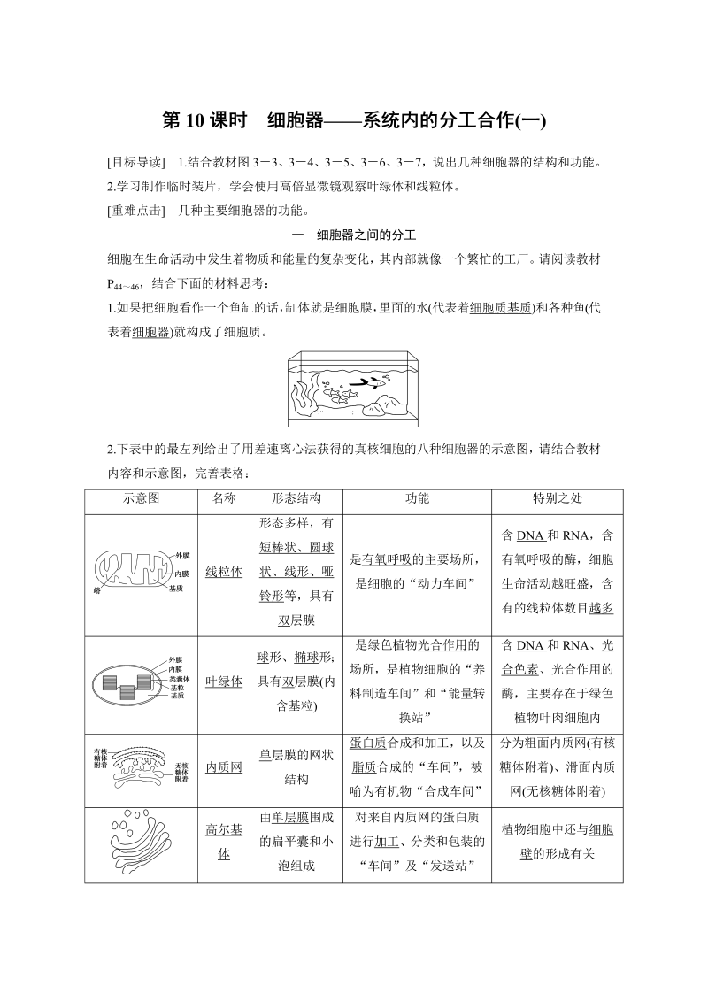 高中生物人教版必修1习题：3.2 细胞器——系统内的分工合作（一） word版含解析