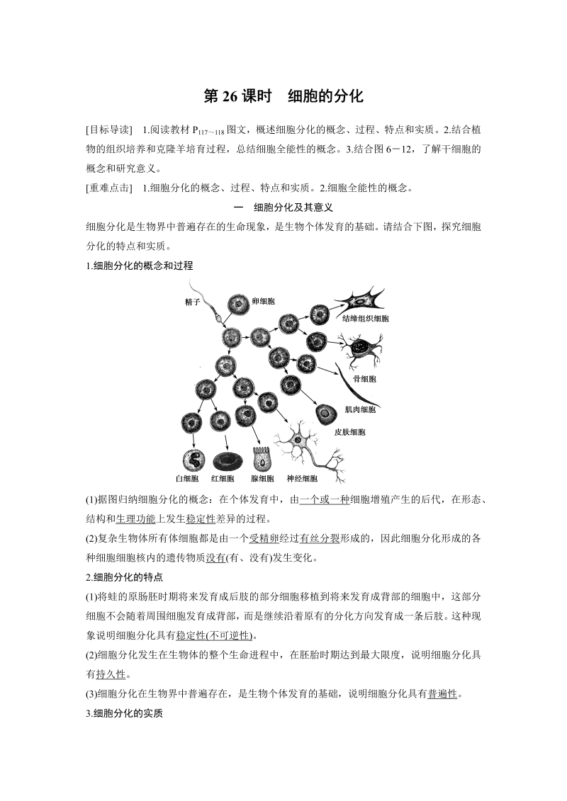 高中生物人教版必修1习题：6.2 细胞的分化 word版含解析