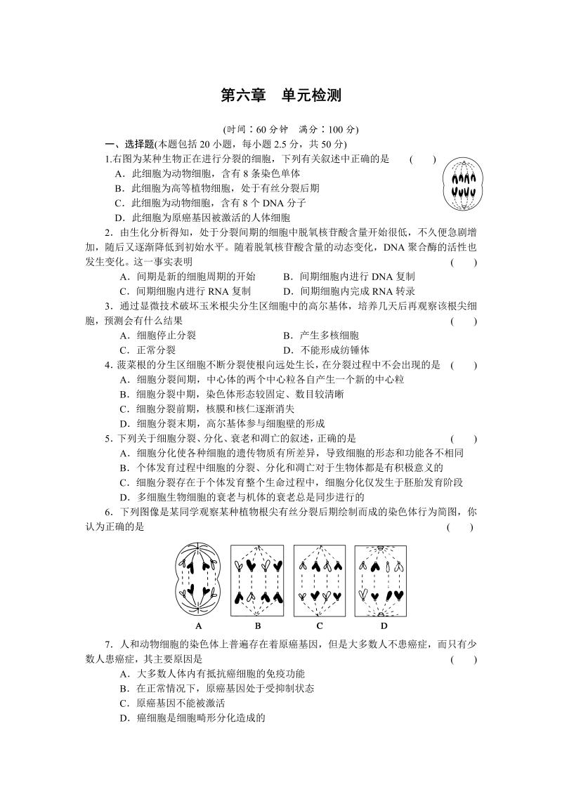 高中生物人教版必修1：第六章 单元检测 word版含解析