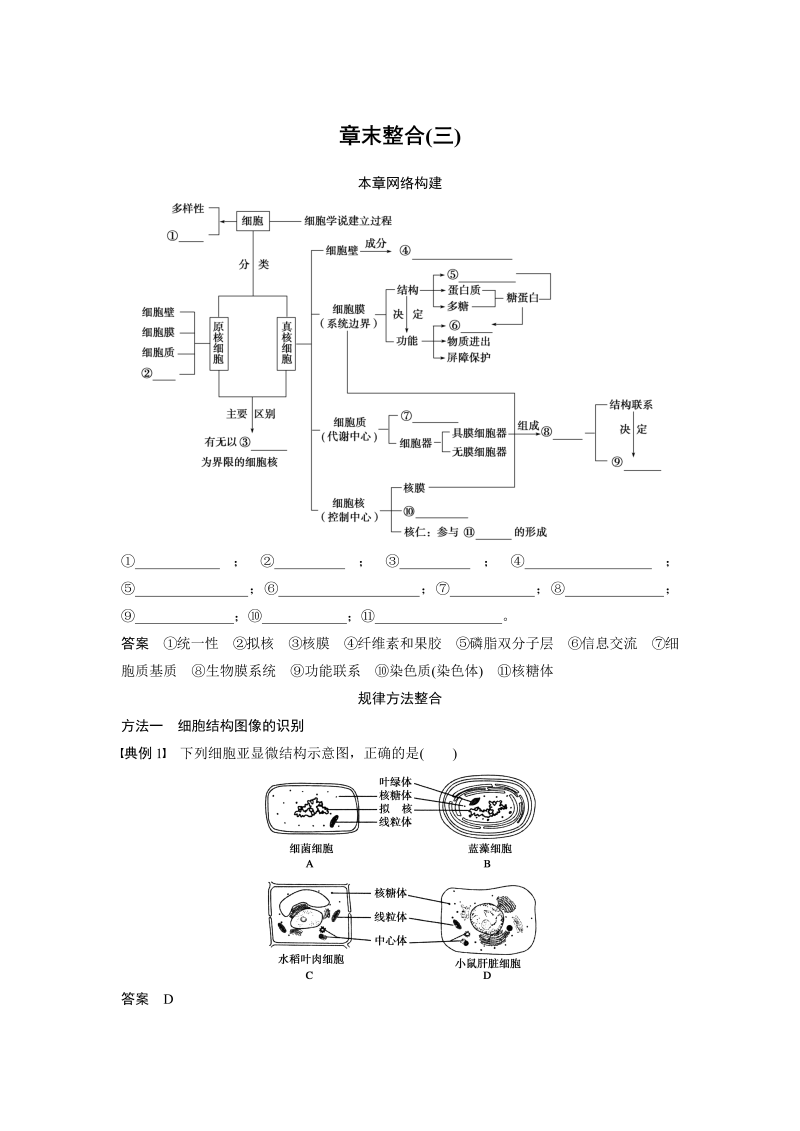 高中生物人教版必修1习题：章末整合（三） word版含解析