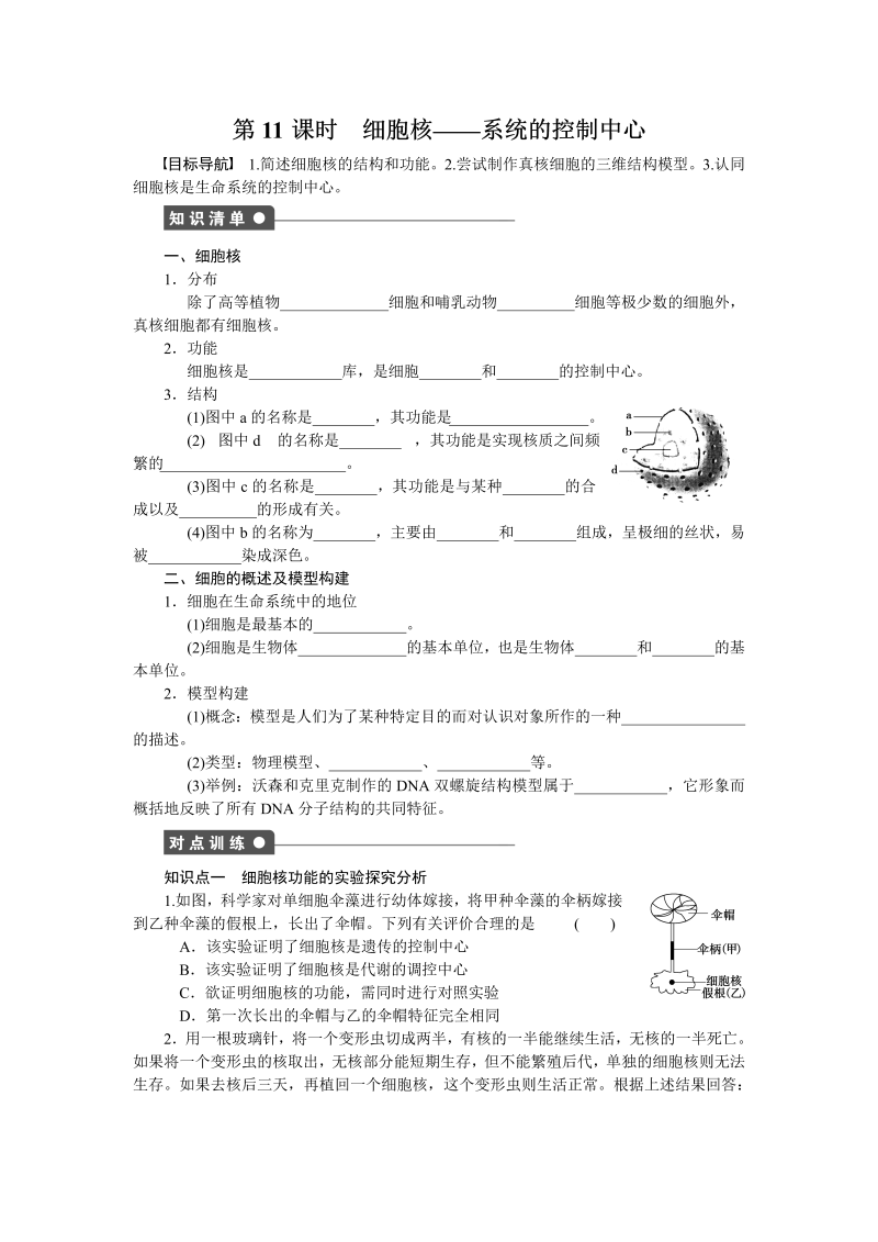 高一生物人教版必修一课时作业：第三章细胞的基本结构 课时11 word版含解析