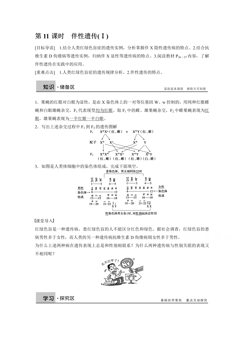 高中生物人教版必修二课时作业：第二章 基因和染色体的关系 第11课时