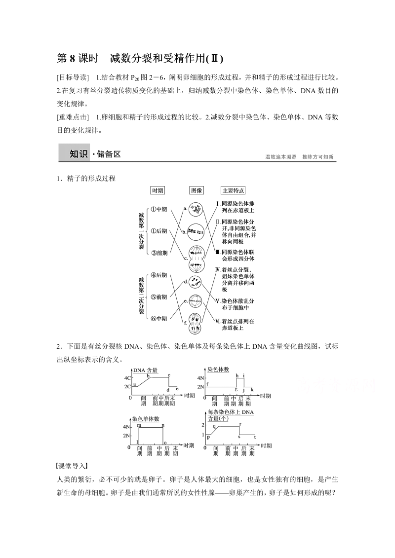 高中生物人教版必修二课时作业：第二章 基因和染色体的关系 第8课时