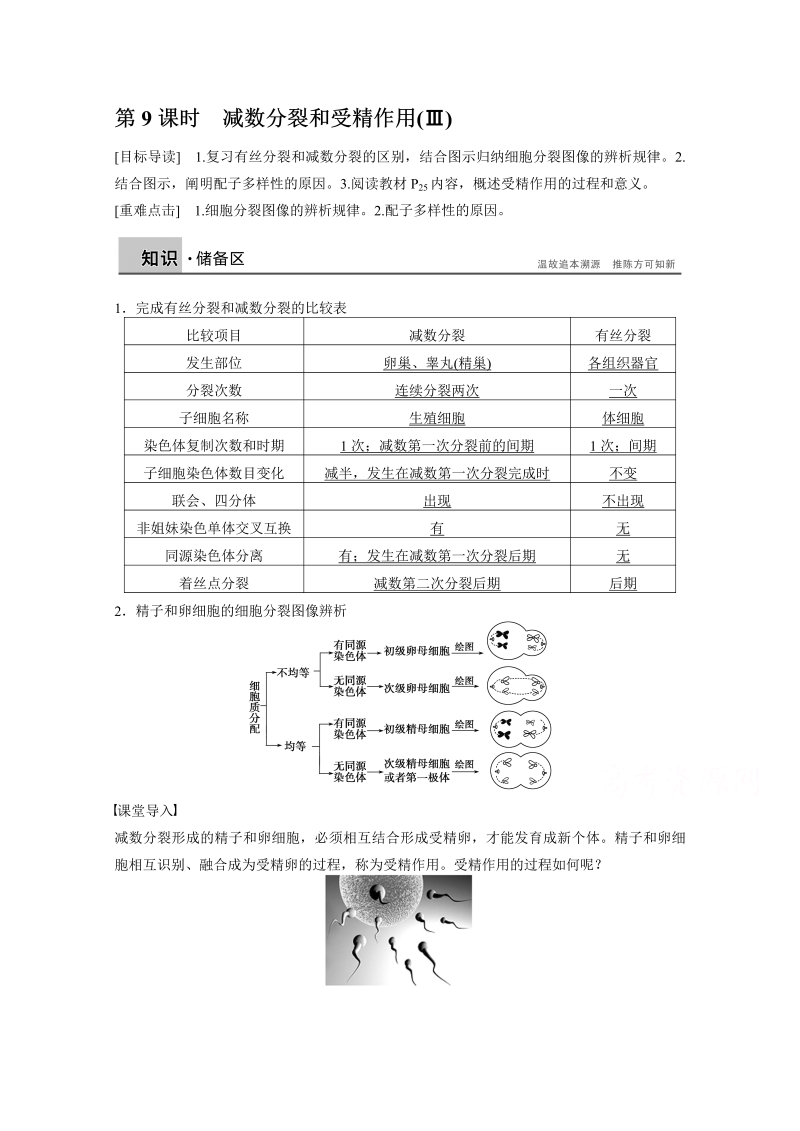 高中生物人教版必修二课时作业：第二章 基因和染色体的关系 第9课时