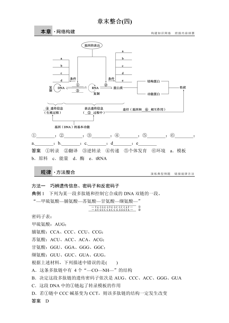 高中生物人教版必修二章末整合训练：章末整合（四）Word版含解析