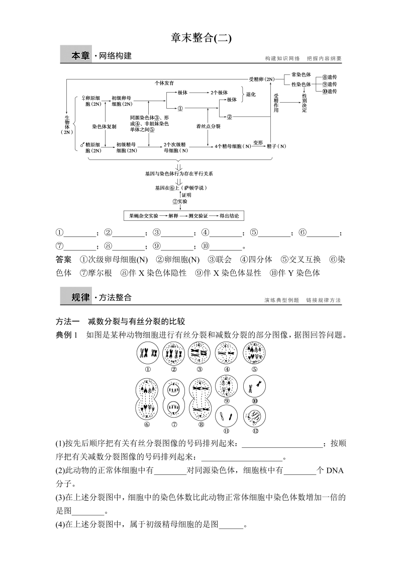 高中生物人教版必修二章末整合训练：章末整合（二）Word版含解析