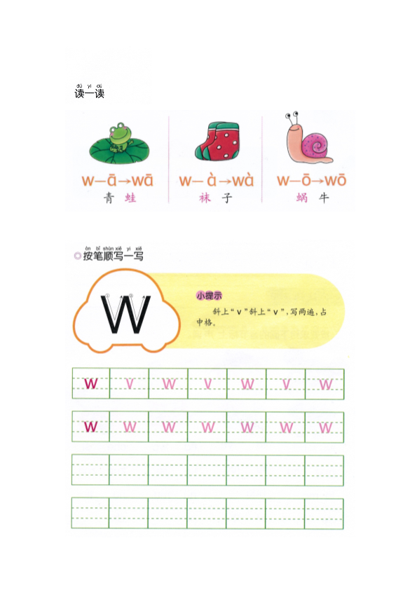 幼小衔接  p48-声母w