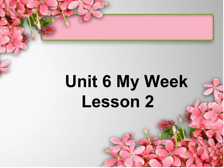 二年级英语下册  Unit 6 My Week Lesson 2 课件 2（人教版）